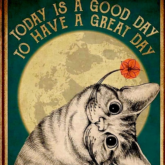 Meet your Posher, Jen - Picture 1 of 1